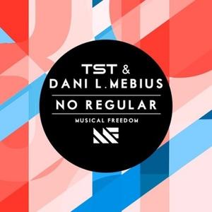 No Regular (Original Mix) 封面 - Tiësto