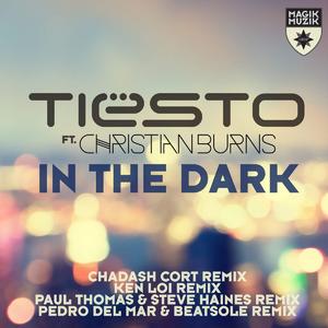 In the Dark (feat. Christian Burns) [Remixes]封面 - Tiësto