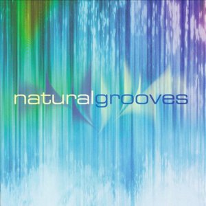 Natural Grooves封面 - Dan Gibson