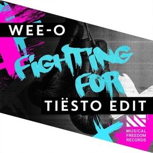 Fighting For (Tiësto Edit)封面 - Tiësto