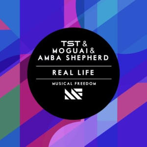 Real Life (Original Mix) 封面 - Tiësto