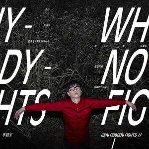 Why Nobody Fights封面 - 华晨宇