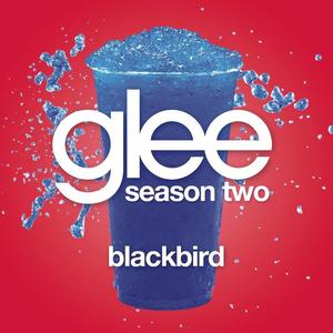 Blackbird (Glee Cast Version)封面 - Glee Cast