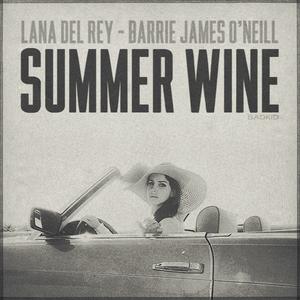 Summer Wine封面 - Lana Del Rey