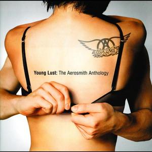 Young Lust: The Aerosmith Anthology封面 - Aerosmith